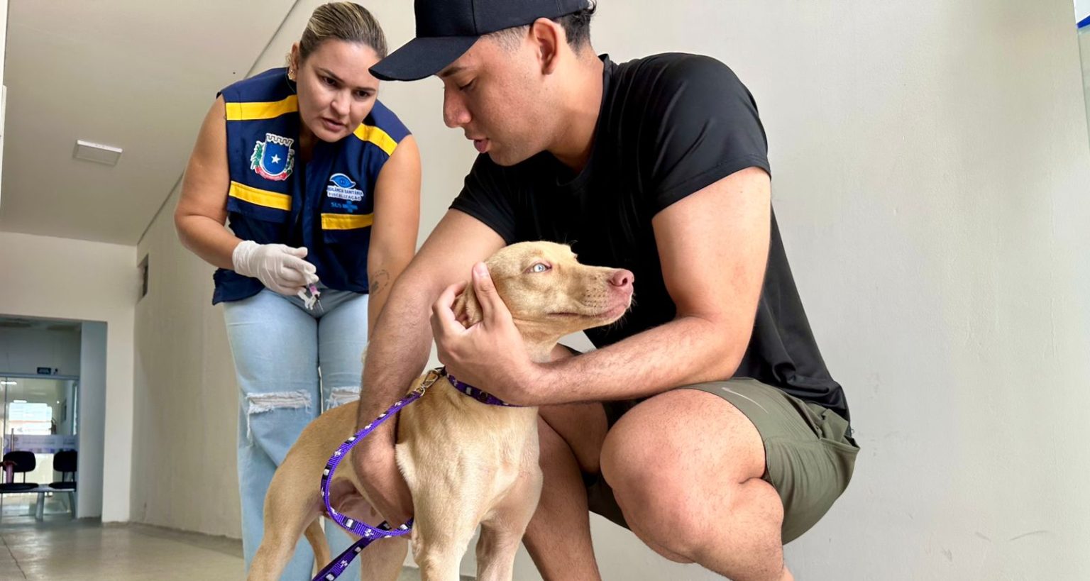 Girau do Ponciano supera meta e vacina mais de 90% dos animais domésticos