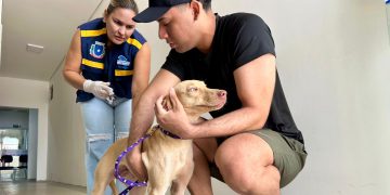 Girau do Ponciano supera meta e vacina mais de 90% dos animais domésticos