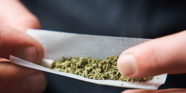 SC começa a multar quem fuma maconha em público