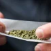 SC começa a multar quem fuma maconha em público