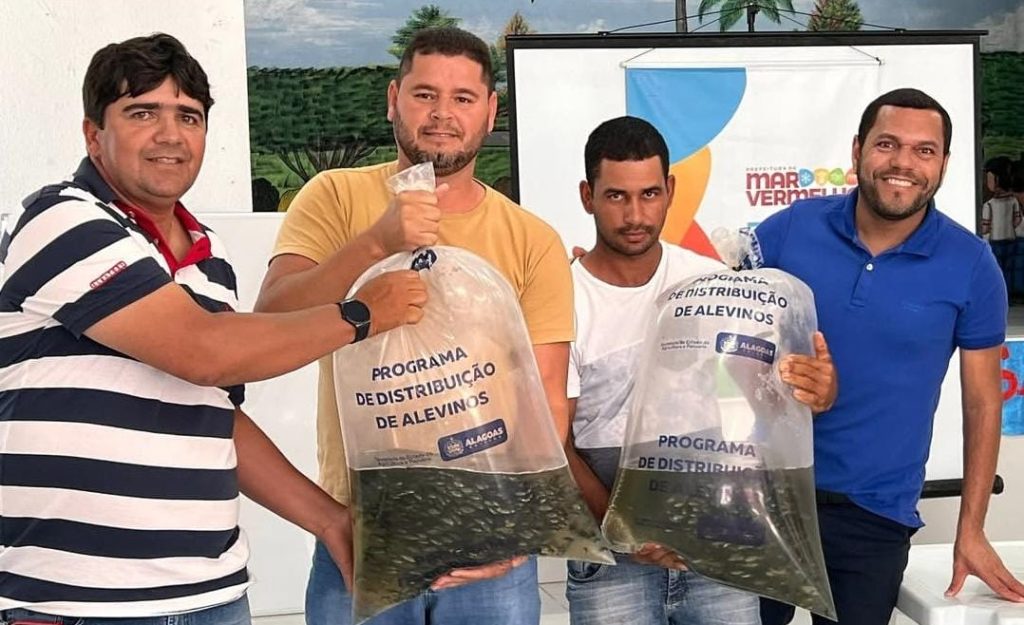 Município de Mar Vermelho distribui 30 mil alevinos a produtores rurais em projeto de incentivo à piscicultura