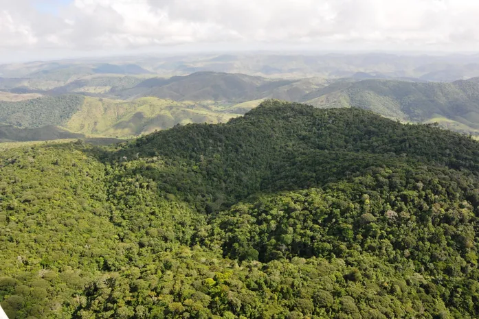 Alagoas se destaca na COP30 com avanços ambientais e menor índice de desmatamento do Nordeste