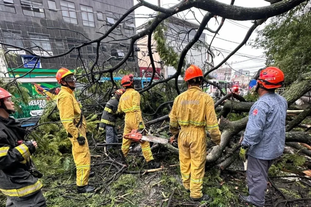 Mulher morre em ponto de ônibus ao ser atingida por queda de árvore