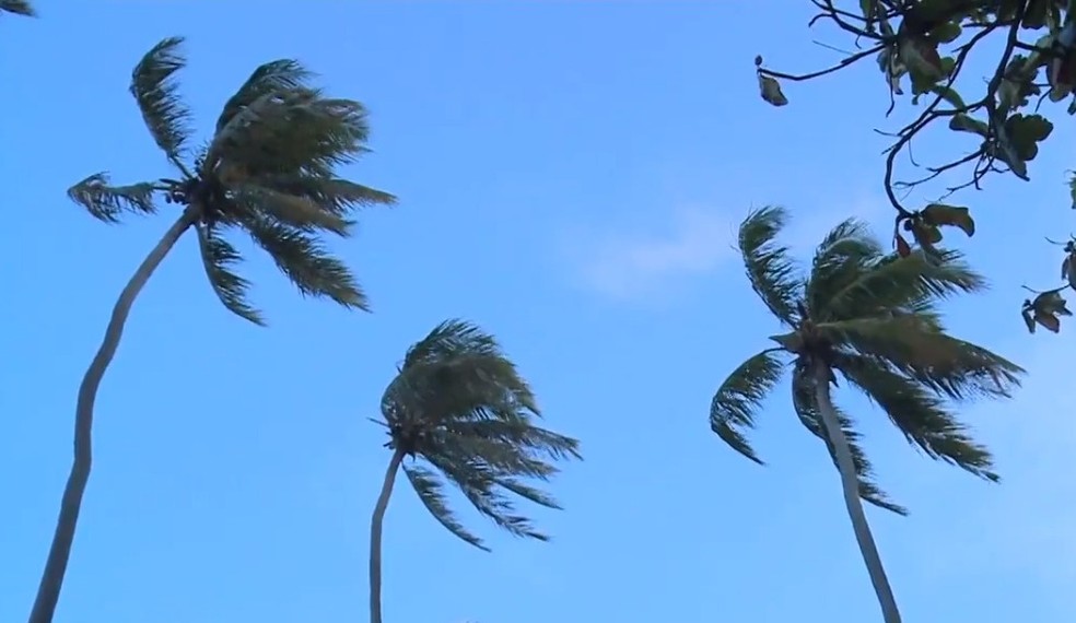 Semarh emite alerta de ventania em Alagoas até quarta-feira (3)