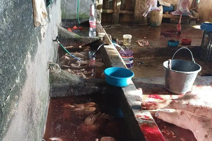 PM descobre matadouro clandestino em União dos Palmares