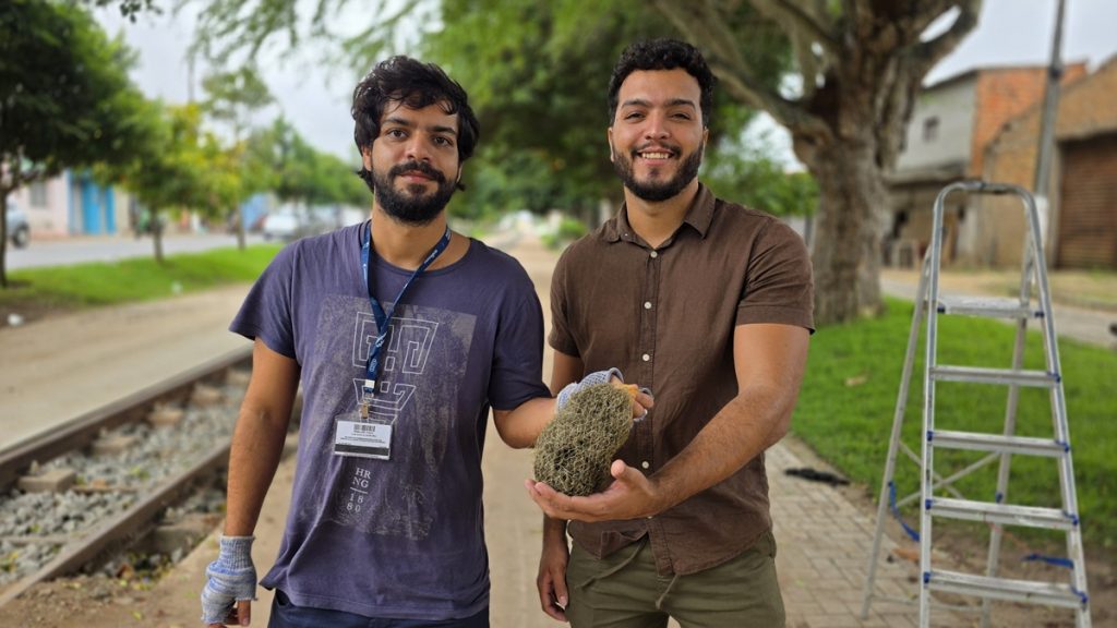 Arapiraca e USP unem forças para monitorar qualidade do ar com plantas como bioindicadores