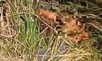 Homem é encontrado morto com marcas de violência em Colônia Leopoldina